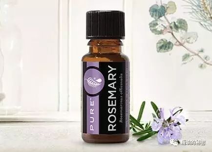 寒冷冬季，干燥肌肤不能错过的6款精油！