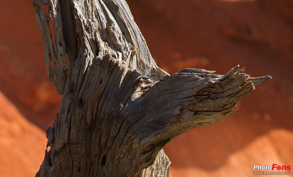 腾龙超长焦变焦镜头50-400mm,腾龙sp24-70mmf2.8