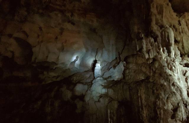 黔南原始森林风景,遇见森林风景