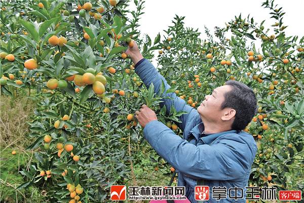 广西首批自由贸易试验区,广西开发开放试验区