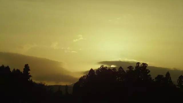 小森林生活,小森林的日常生活