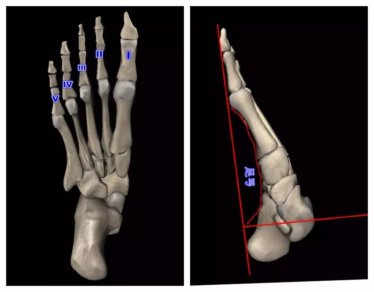 裹小脚的故事,最近的裹小脚事件