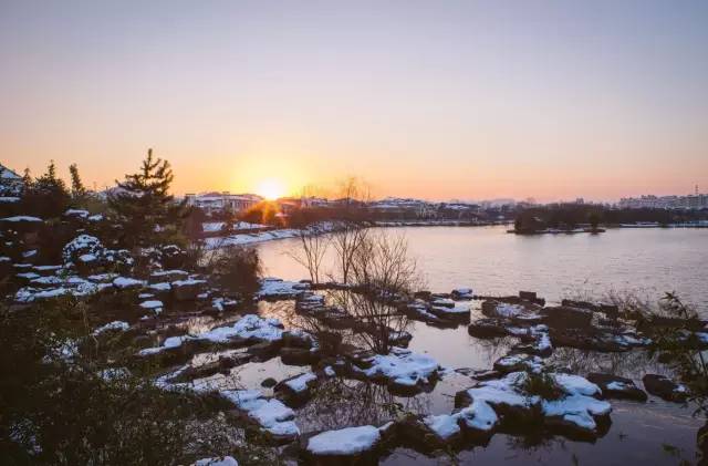 杭州西湖桂花城,杭州桂花城