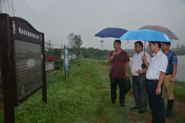 做好三农工作推进农业现代化,振兴乡村加快农业农村现代化