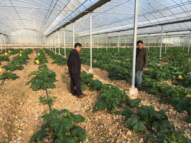 做好三农工作推进农业现代化,振兴乡村加快农业农村现代化