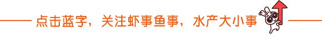 鱼塘高温天气怎么提前预防,鱼塘气温多少适合消杀