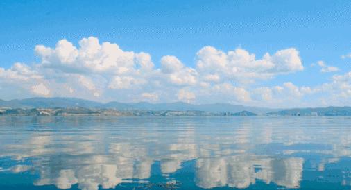 12306什么时候可以免费买票,铁路12306什么时候能买元旦车票