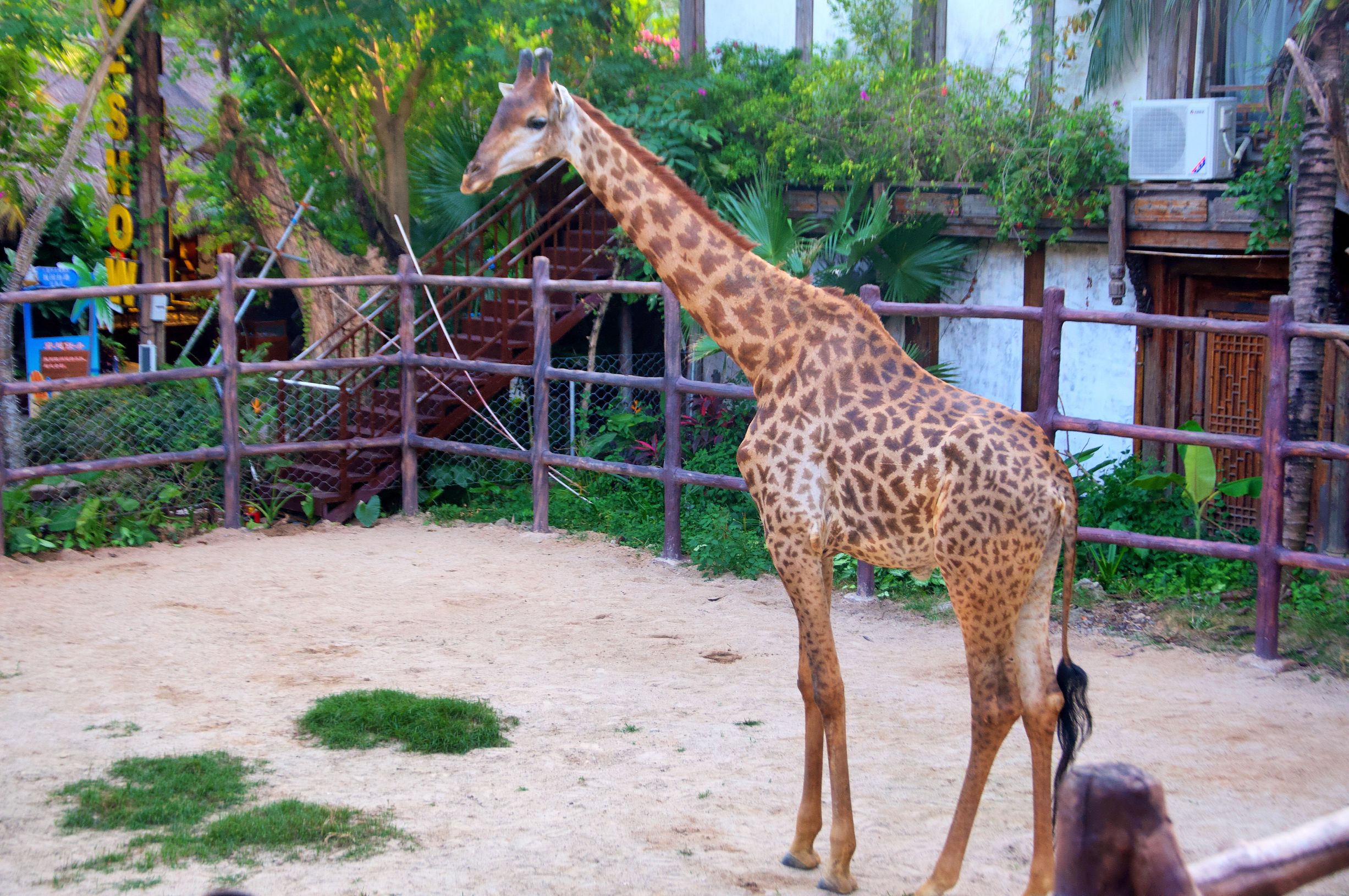 三亚度假巨无霸五天五夜玩不腻,避寒之旅三亚