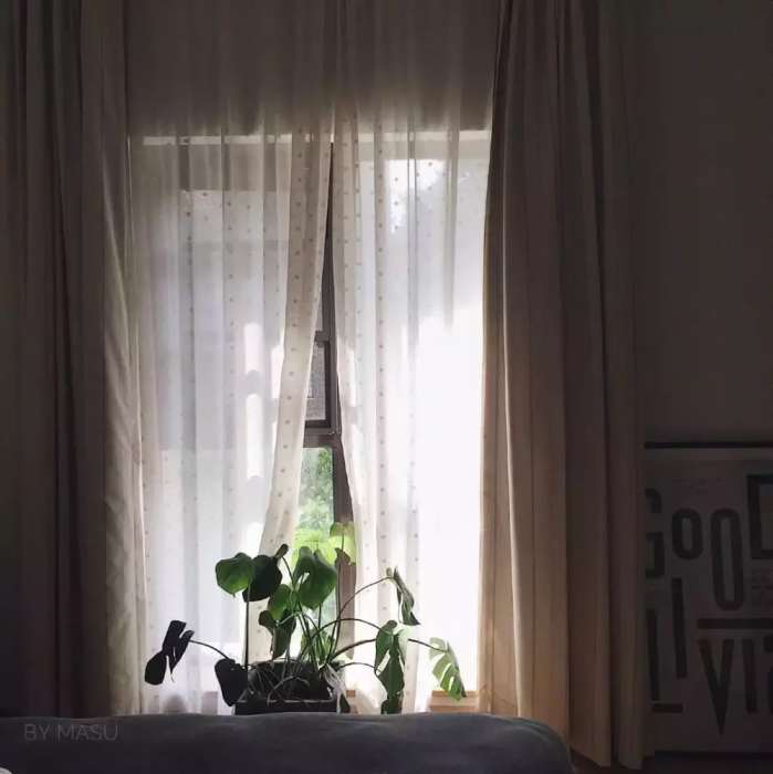 爱种花的姑娘,爱养花的女人都想把生活过的精致