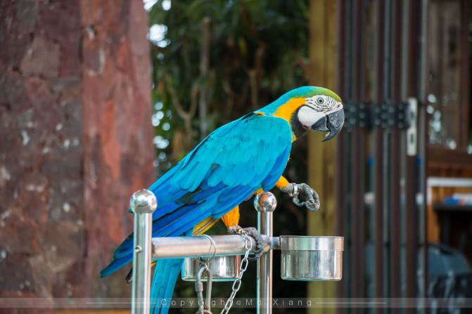 和父母的三亚之旅,带着爸妈去海岛旅游