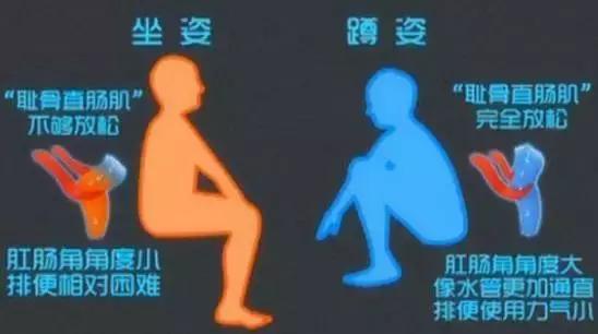 公共马桶的细菌有多脏,家里马桶外壁脏吗