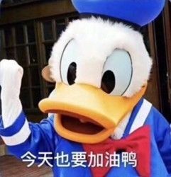 一边作死一边自救，90后的养生，很朋克嘛