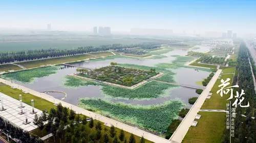 沈阳最漂亮的十大美人,沈阳女孩最漂亮的照片