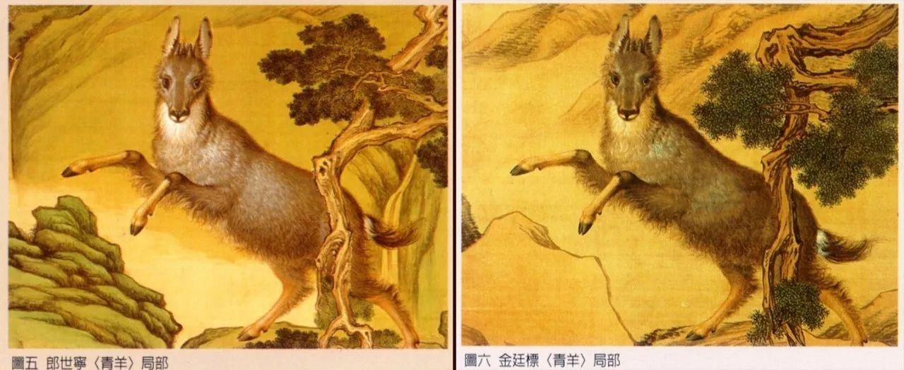 《火鸡》图考辨出自谁手