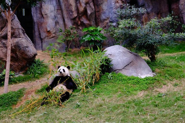 游玩香港海洋公园视频,玩转香港攻略5天4晚