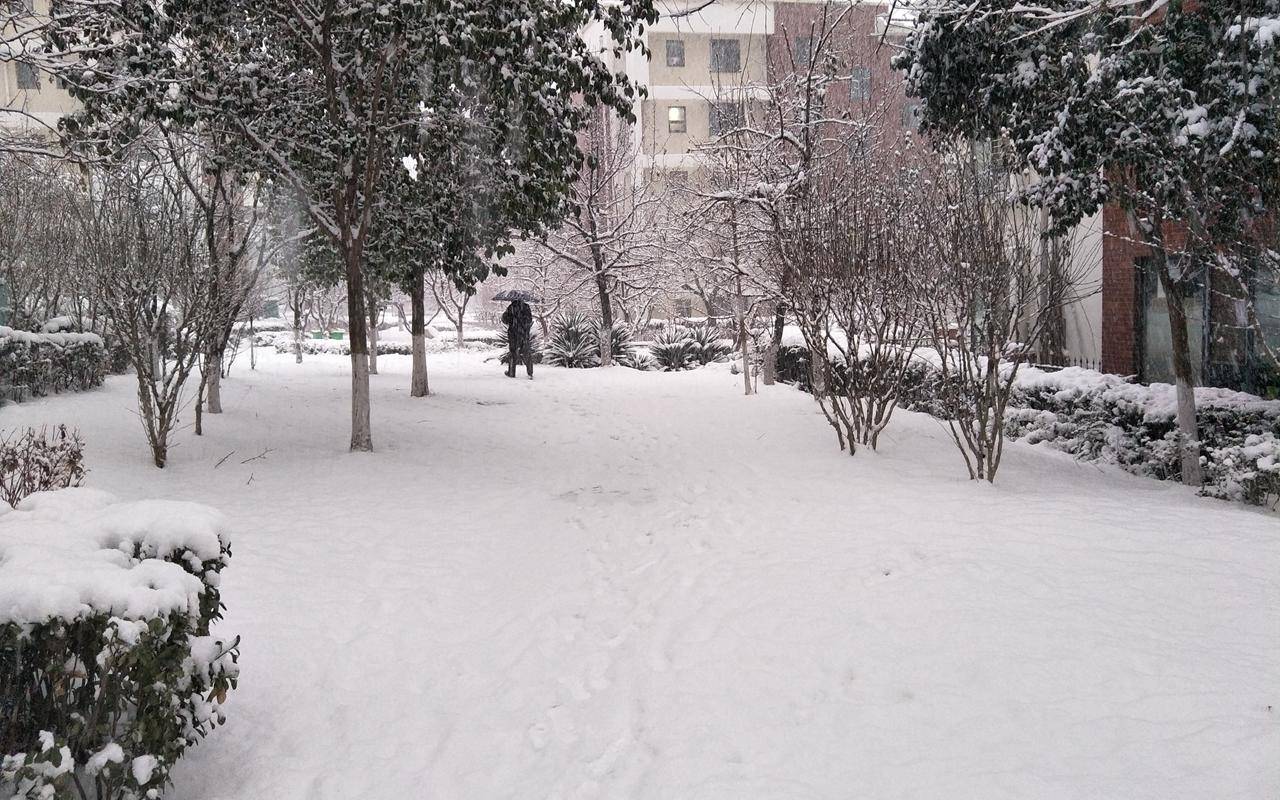 雪地靴northface,thenorthface登山鞋推荐