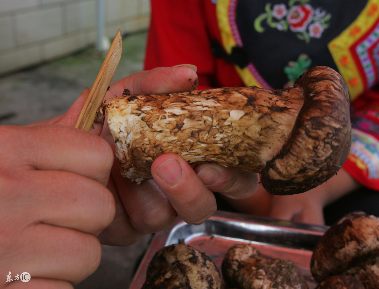 餐桌上必吃的七种冠军蔬菜,饭桌上的精品菜