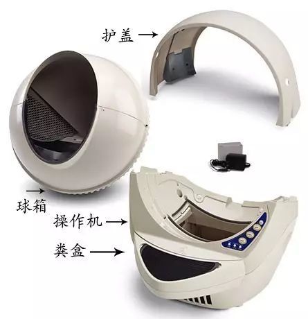 养猫如何不铲屎,什么猫不用铲屎呢