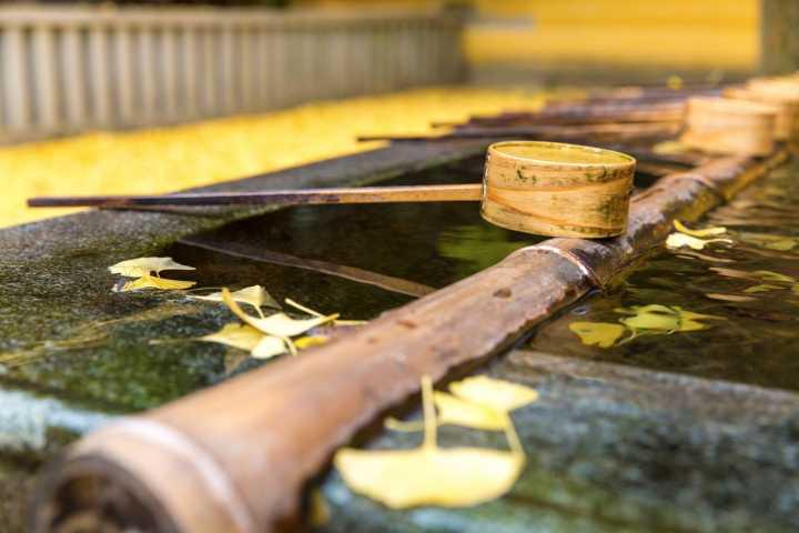 吃日料还是要去日本,吃日料送老字号