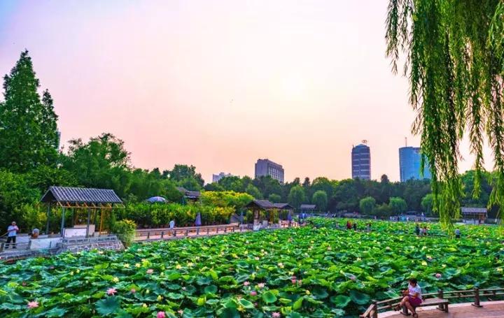 西安适合晚上逛的免费景区,最新西安免费的50个景点预约