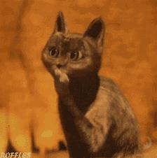 圣诞节礼物大盘点，必须送给男友的7大好物，小仙女们快来看看！