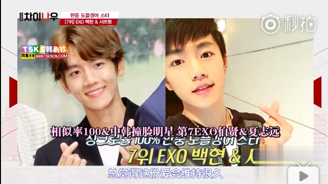 张根硕和汤唯,张栋梁和韩国哪个明星最像