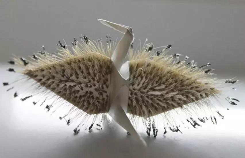 他用3个月时间，折叠了1000只千纸鹤，送给了他最亲爱的姑娘