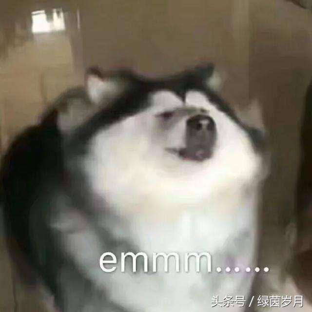 足球入门知识扫盲,足球伪球迷指南之英超