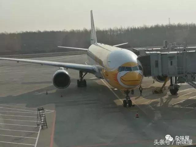 随心而动泰剧电视剧,随心而动的旅游