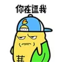 自助猫狗营养辅食,猫狗辅食食谱大全