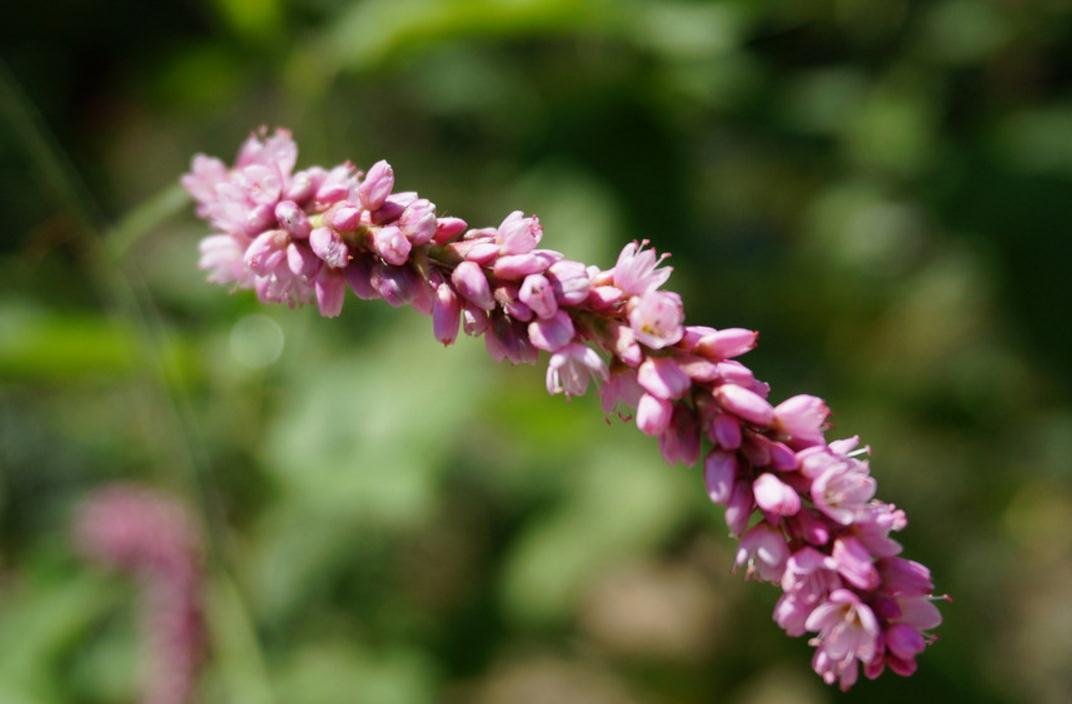 做人不能太窝囊废,做人太失败活得一塌糊涂
