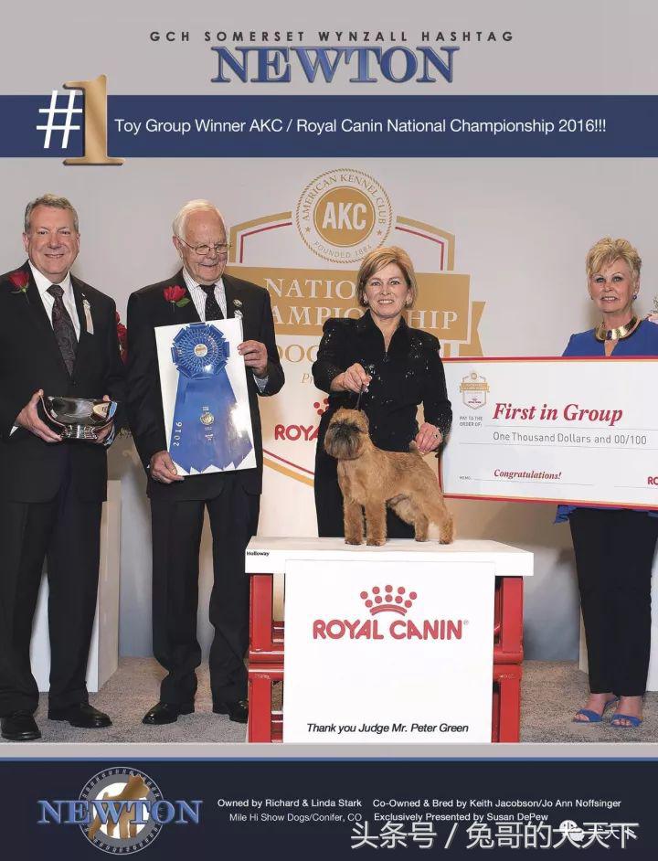 akc最受欢迎犬种排名,akc将犬种分为七个组别分别是