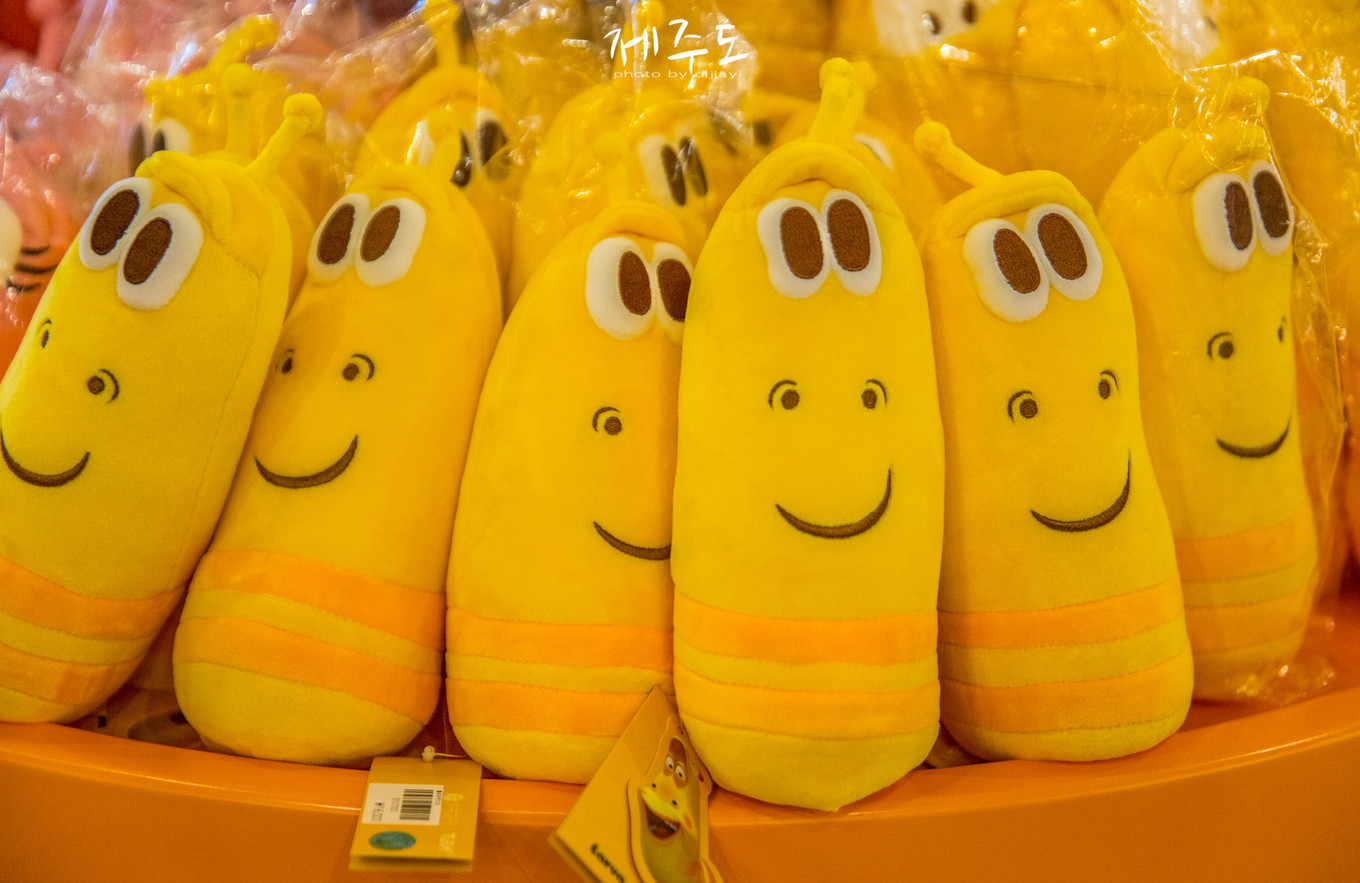 济州岛海边窗口打卡,韩国济州岛文艺浪漫打卡地