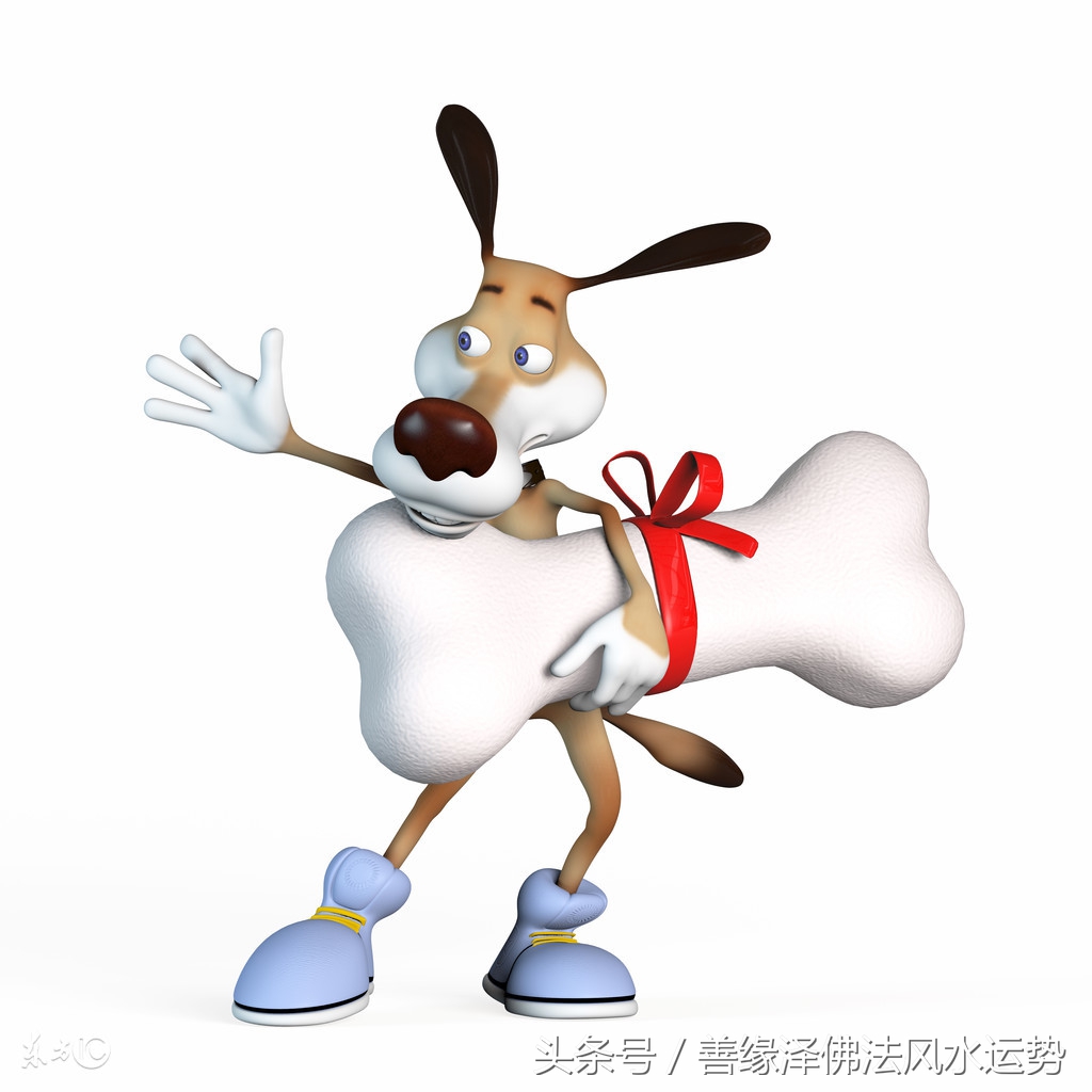 十二生肖今年的财运和运势如何啊,2018生肖财运大解析