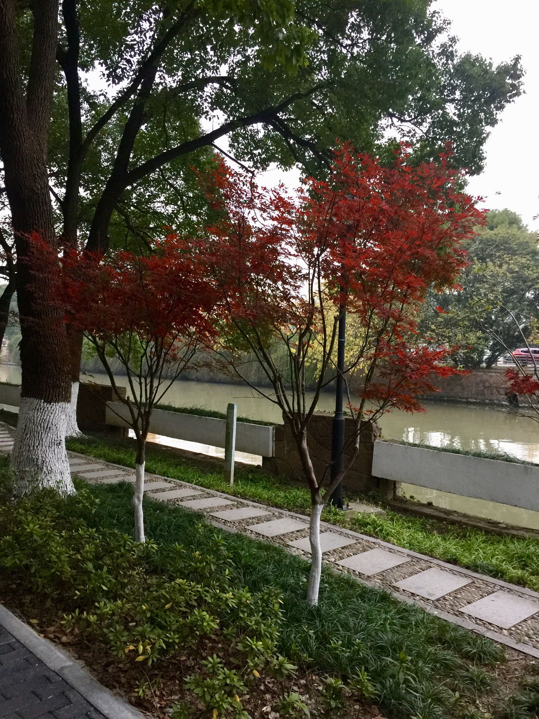 烟雨迷蒙嘉兴南湖,印象江南嘉兴