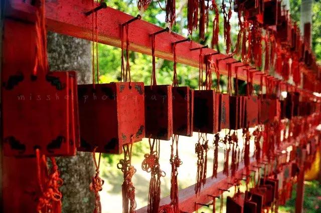 这里是中国人的“情人岛”，比巴厘岛浪漫，比塞班岛热情