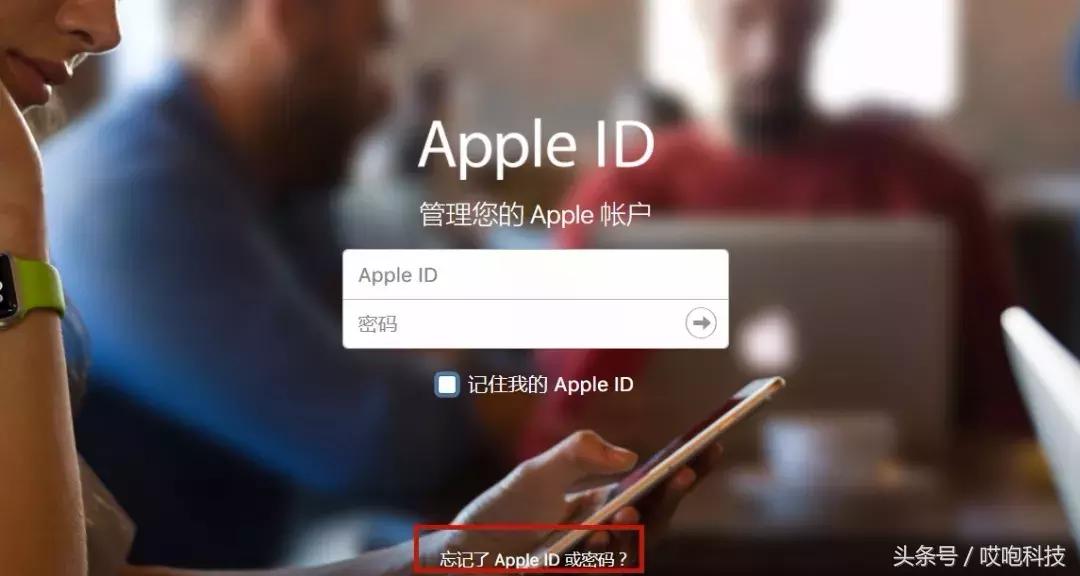 appleid账号忘了怎么办记得密码,appleidpassword
