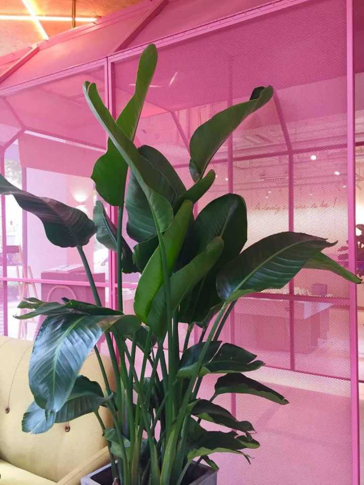 上海吱音生活馆,吱音北京实体店