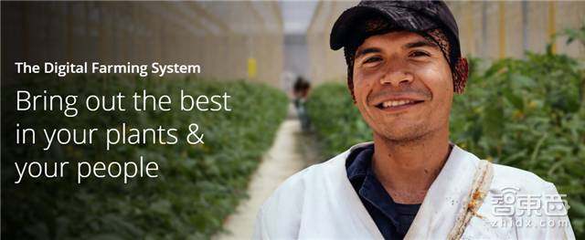 cbinsights统计初创公司失败原因,cbinsights行情