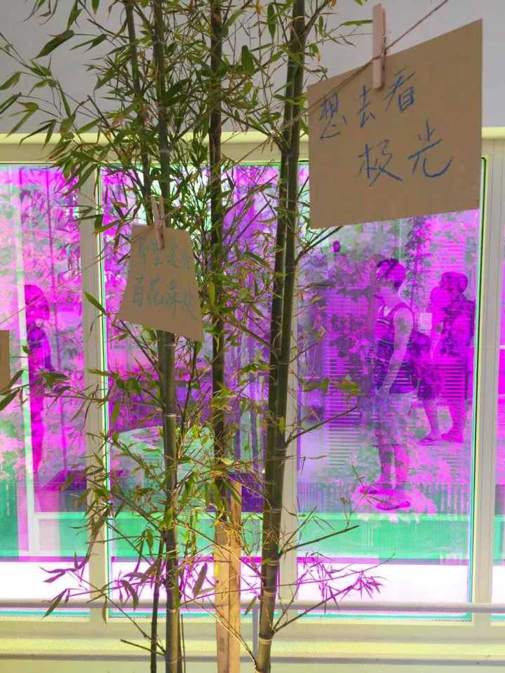 上海吱音生活馆,吱音北京实体店