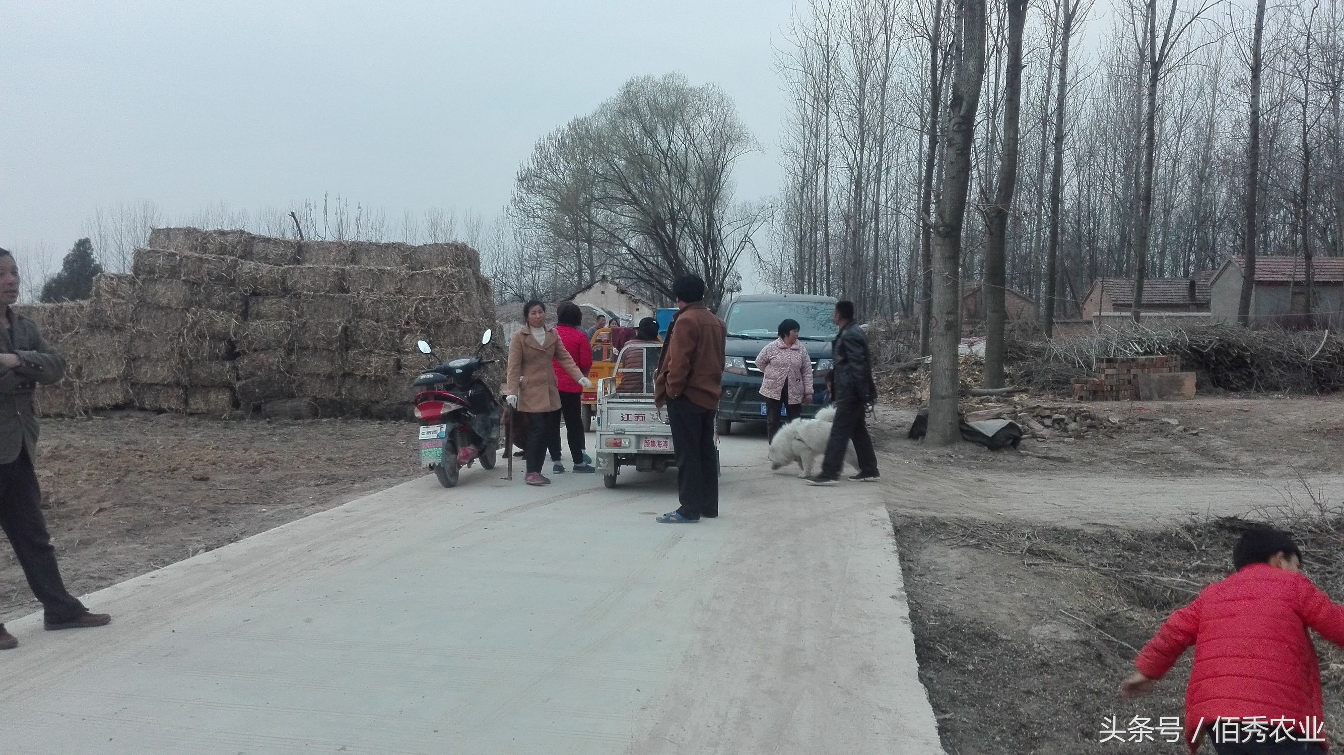 让农村人纠结的小生意,经营者都想退出,却又让人十分羡慕!