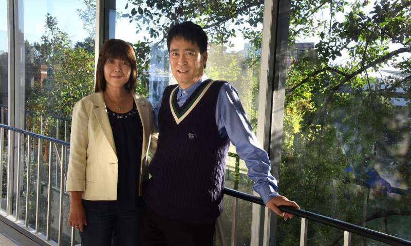 糖尿病引起铜超量,糖尿病与铜的关系