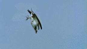 看样子真的拔不出来了，赶紧求助吧，晚了来不及了