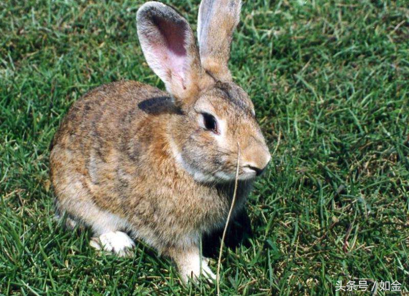 让你快速赚钱的五个生意,让你赚钱发财的12个方法