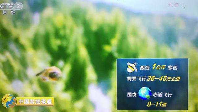 为什么超市蜂蜜那么便宜,市场上卖的蜂蜜为什么便宜