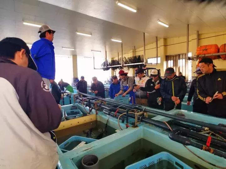 中北部升龙道深度游攻略,日本龙岛旅游攻略