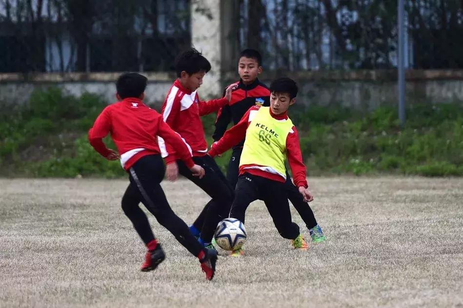 权健对中超有什么影响,18赛季中超权健迎战恒大