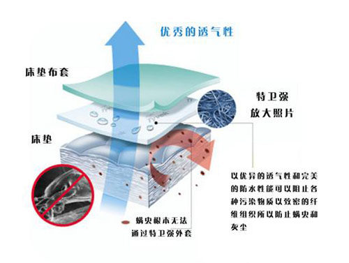 市面上的除螨仪真的有效果吗 (市面上的除螨仪有没有除螨作用)