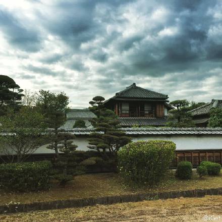 1988年外国地震,回忆2011年3月11日地震