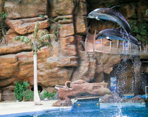 杭州极地海洋公园占地面积,杭州极地海洋公园什么时候建成